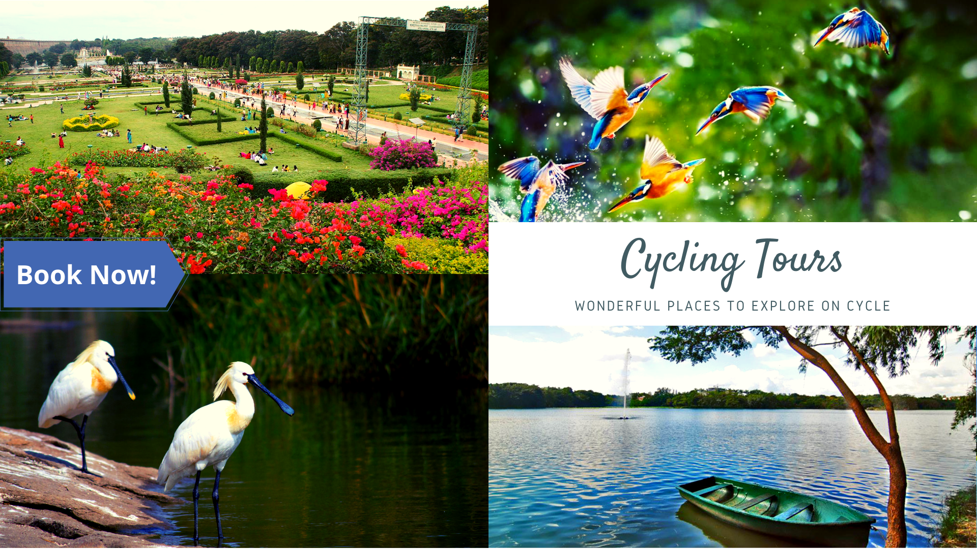Cycling tour through Mysuru